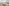 6KateSheppard 04306
