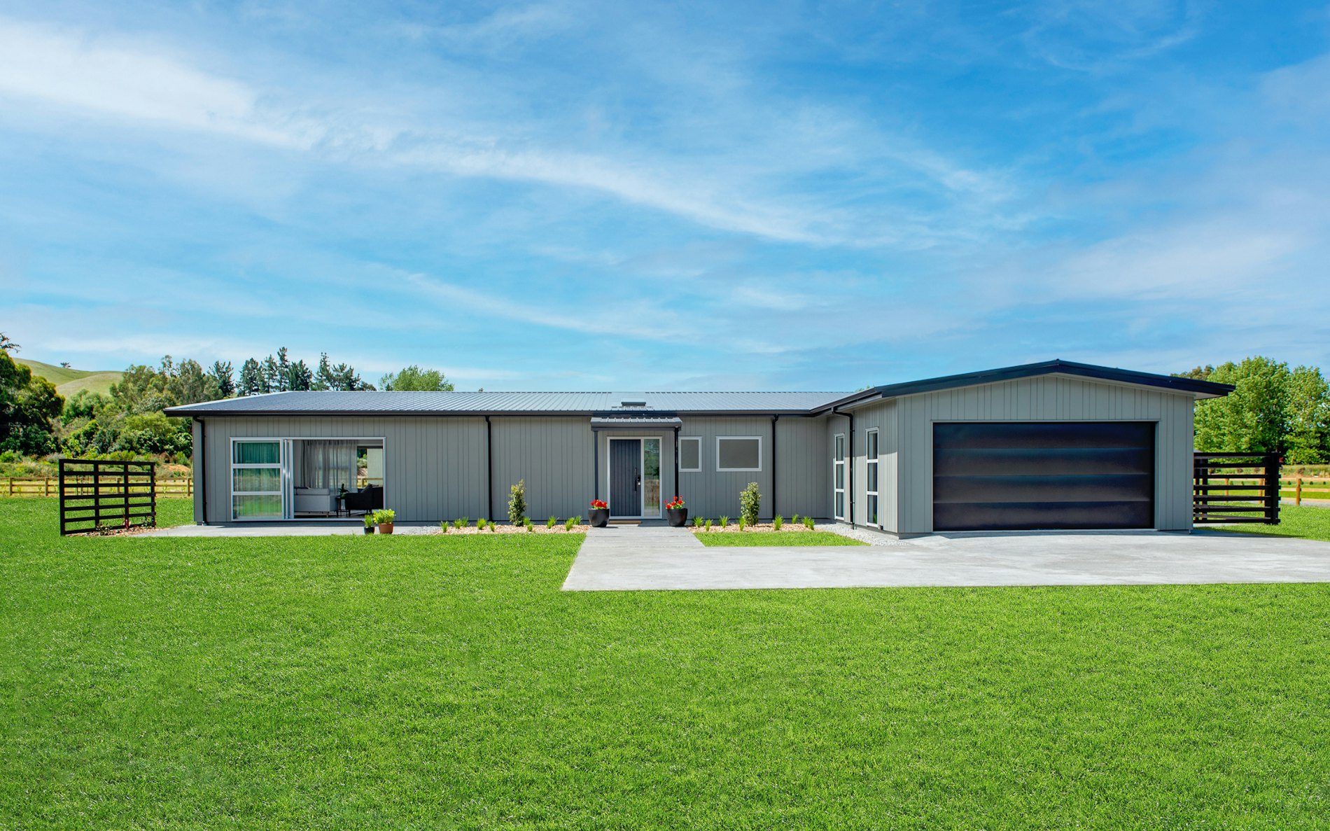 Modified Kowhai - Freedom Range