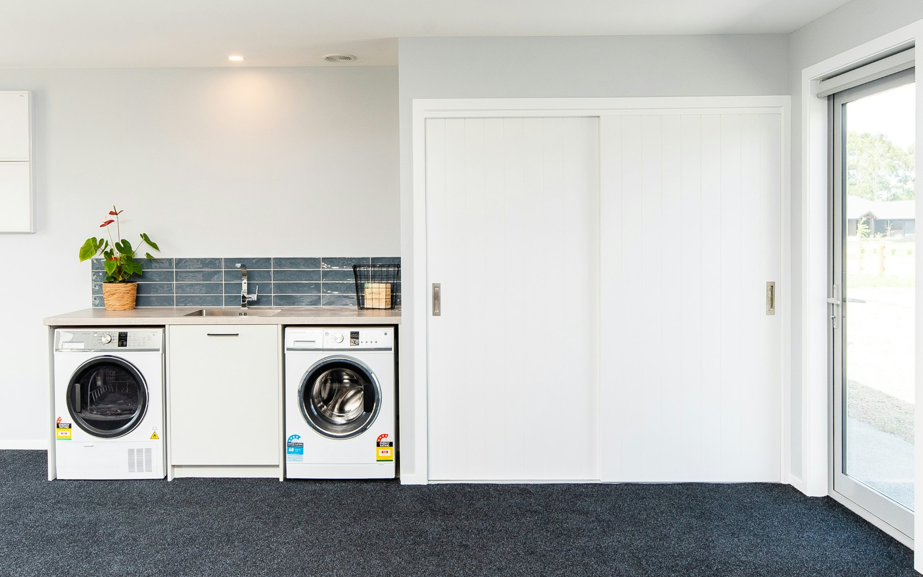 Modified Kowhai - Freedom Range