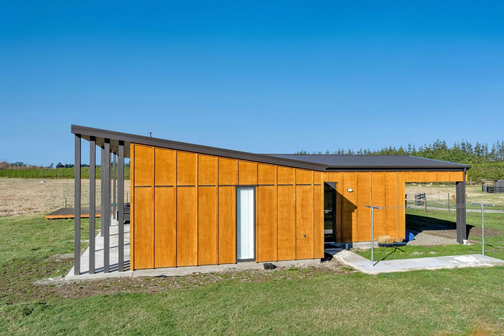 North Canterbury - Kowhai