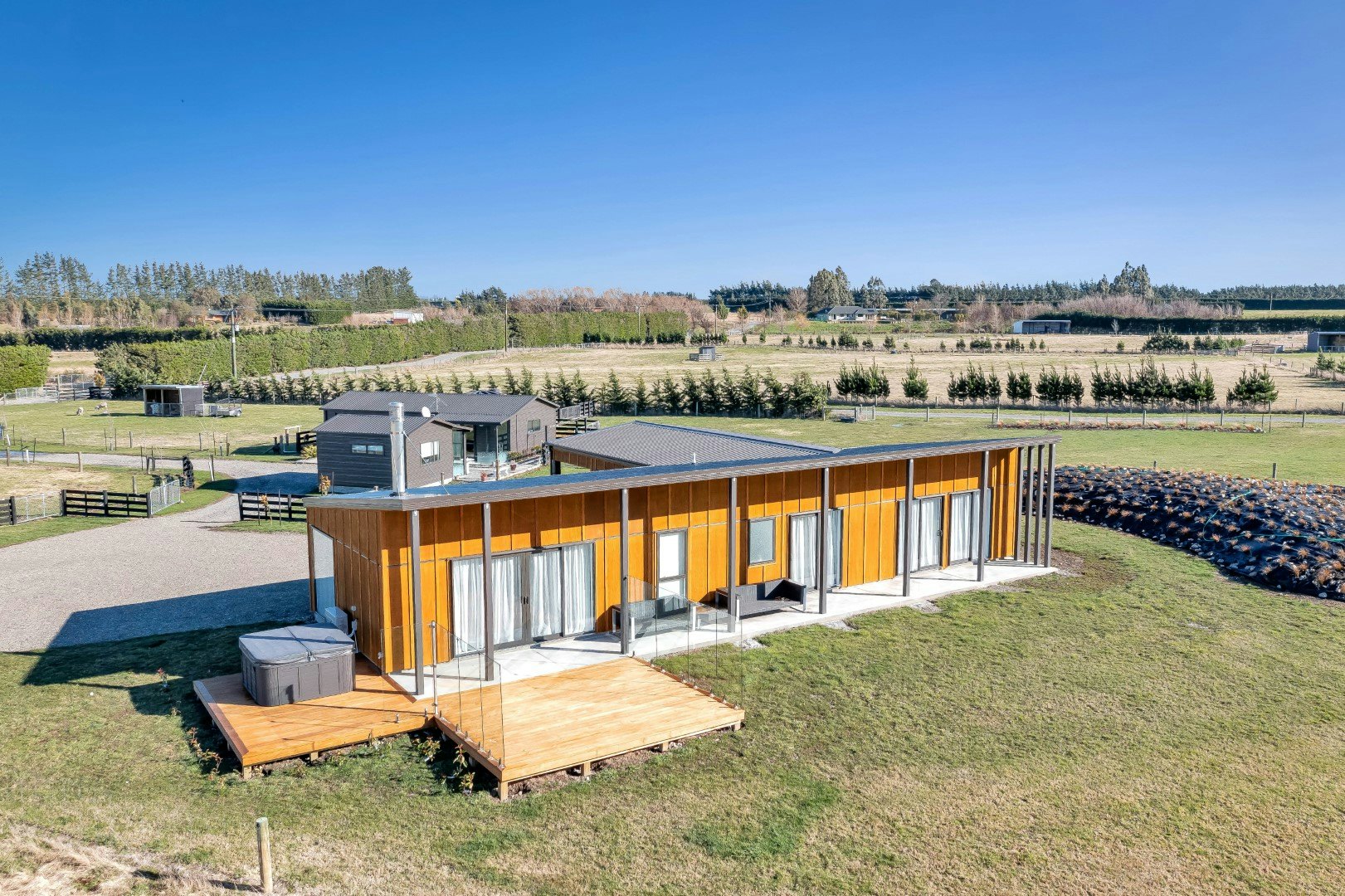 North Canterbury - Kowhai